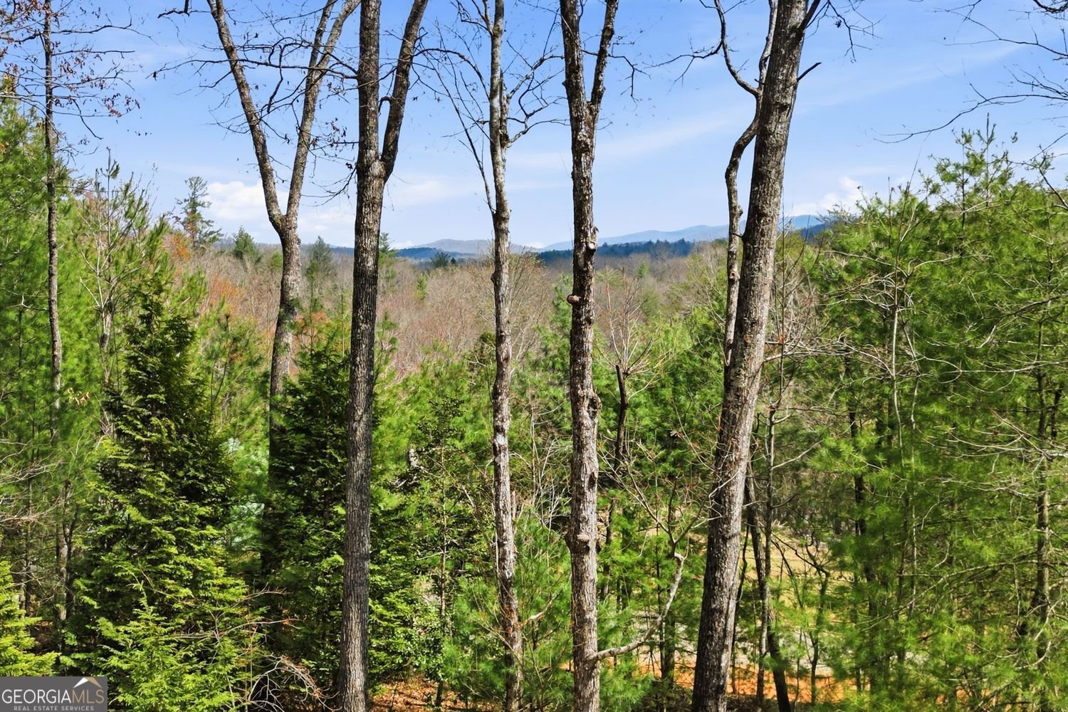 140 Black Oaks Road Cherry Log - Photo 55