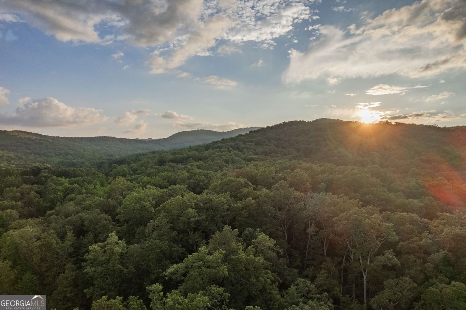 140 Black Oaks Road Cherry Log - Photo 78