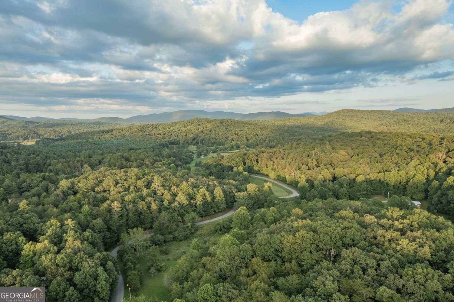 140 Black Oaks Road Cherry Log - Photo 85