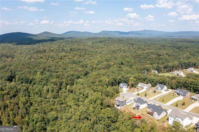 61 Roberson Drive Cartersville - Photo 45