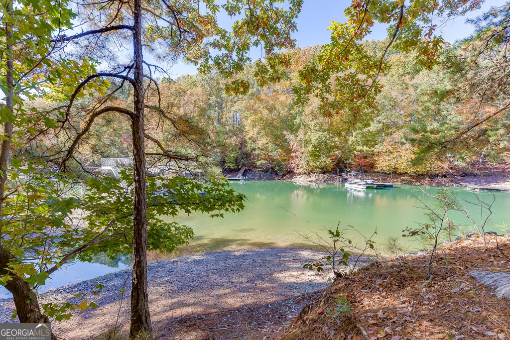 5984 Dolvin Lane Buford - Photo 42