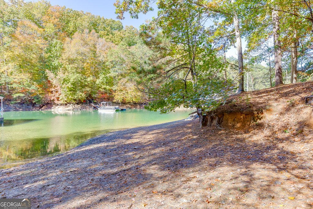 5984 Dolvin Lane Buford - Photo 43