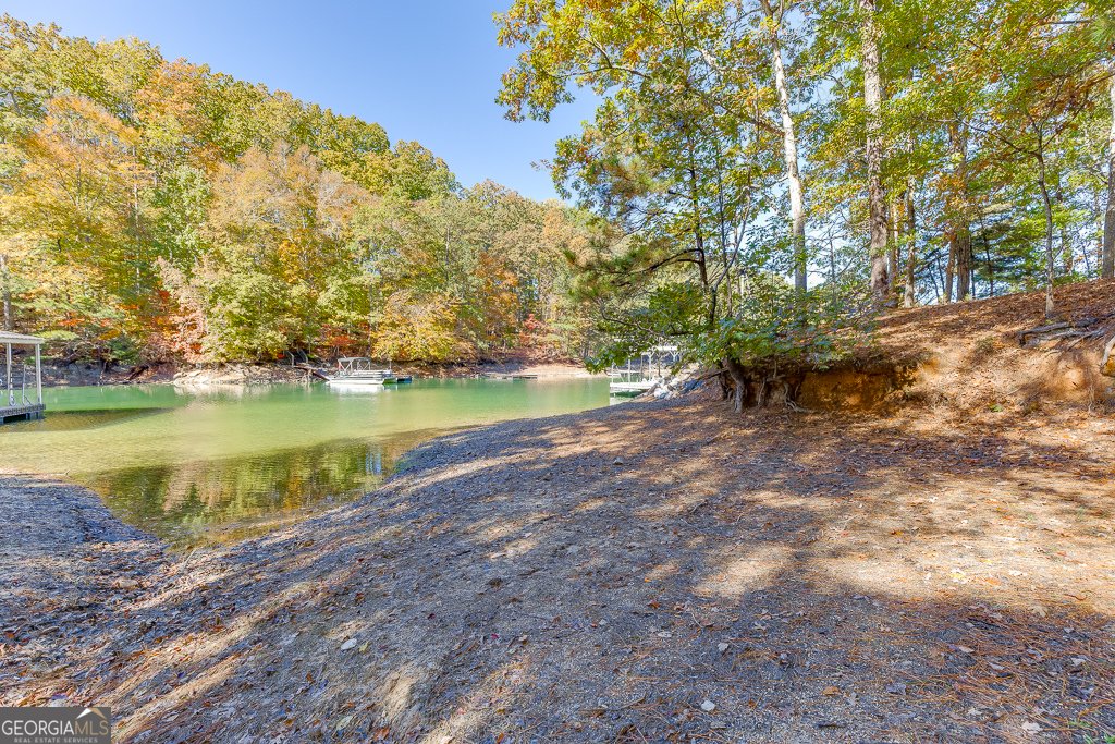 5984 Dolvin Lane Buford - Photo 44