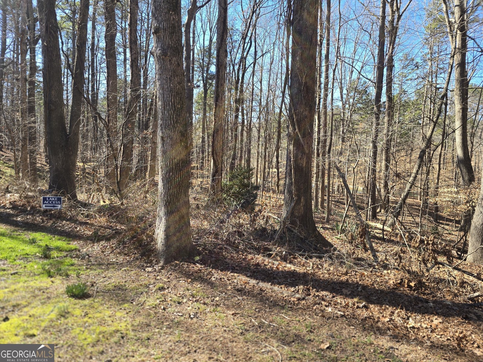 5984 Dolvin Lane Buford - Photo 52