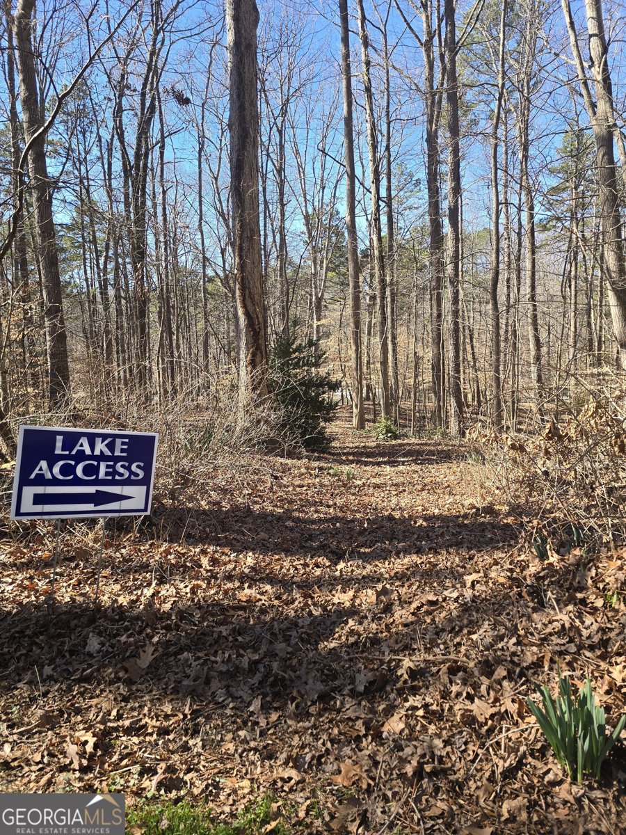 5984 Dolvin Lane Buford - Photo 53