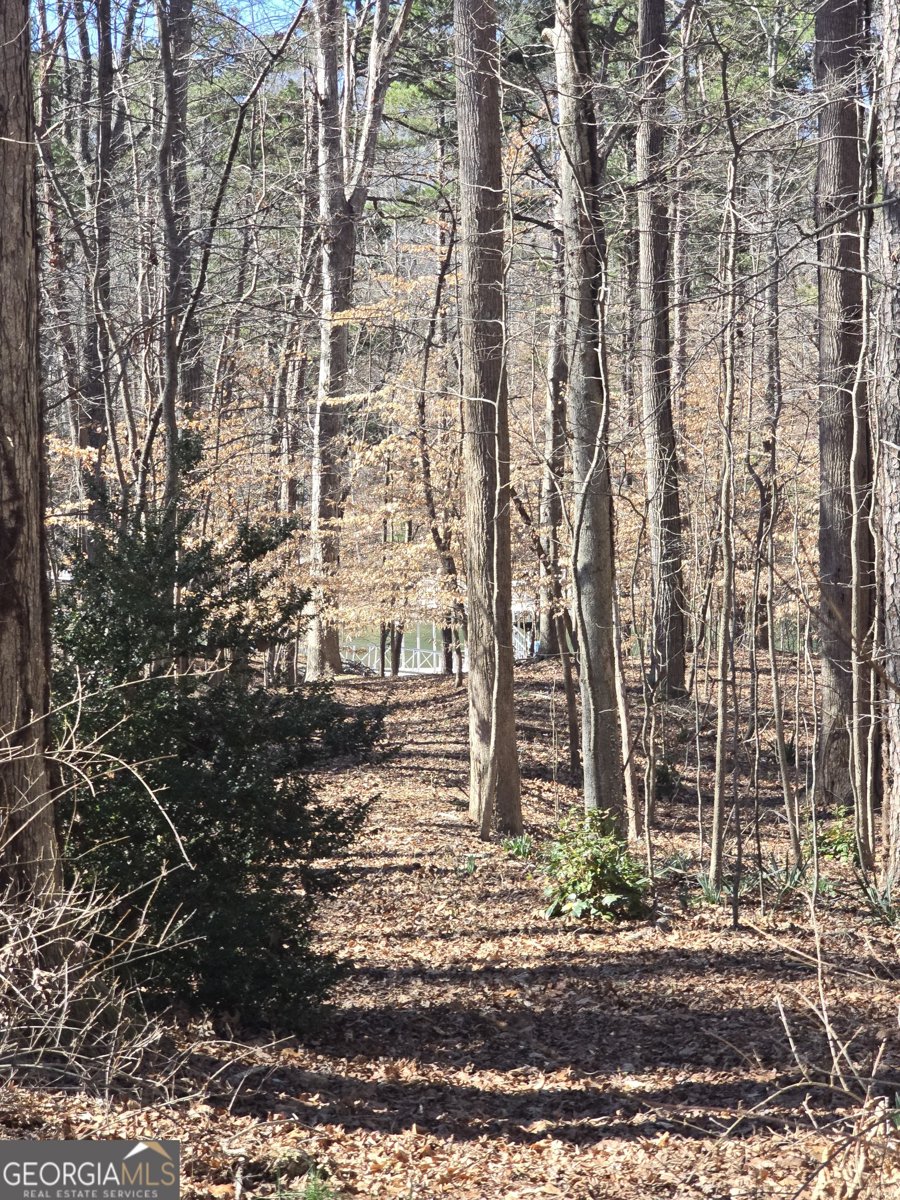 5984 Dolvin Lane Buford - Photo 54