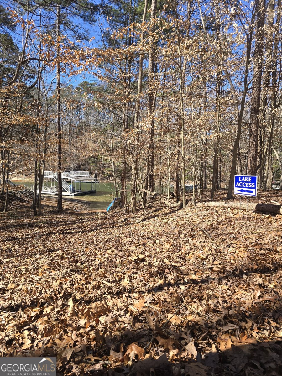 5984 Dolvin Lane Buford - Photo 55