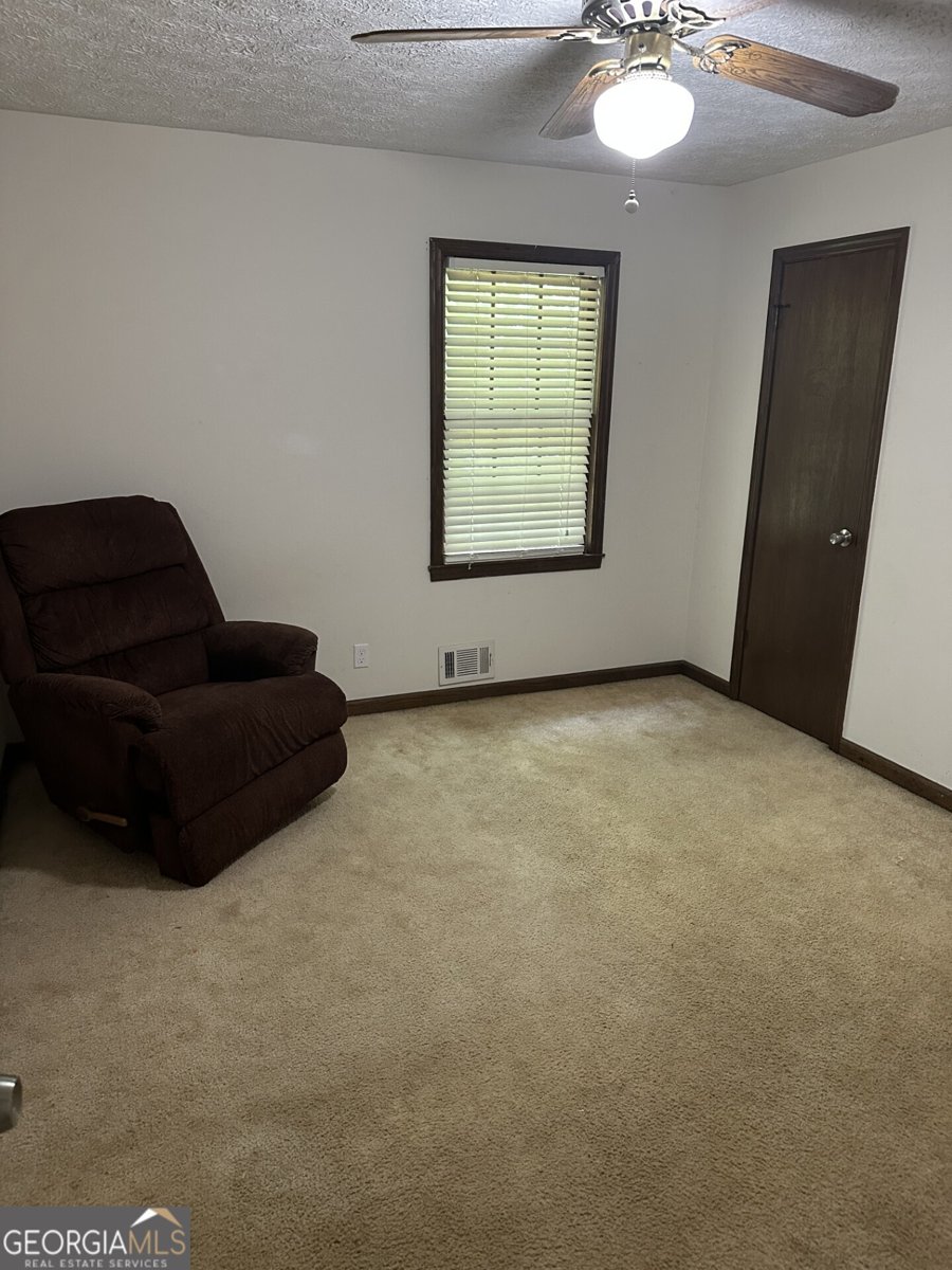 2733 Old Dawsonville Road Gainesville - Photo 43