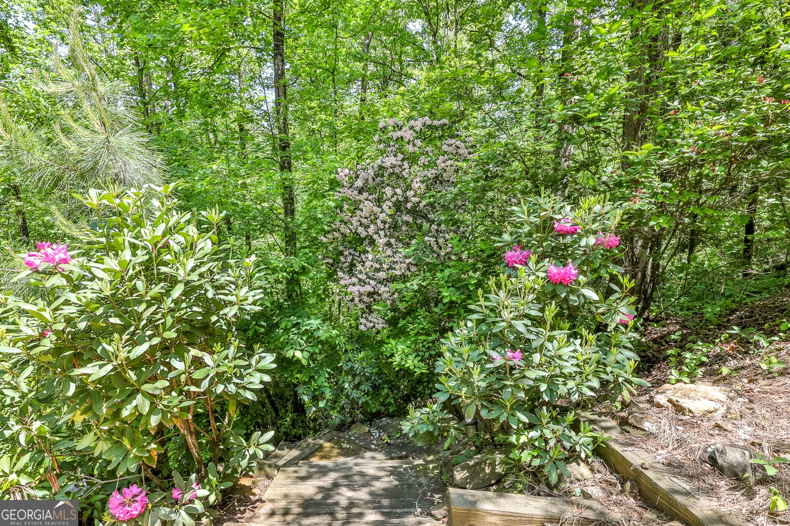 141 Azalea Trail Ellijay - Photo 36
