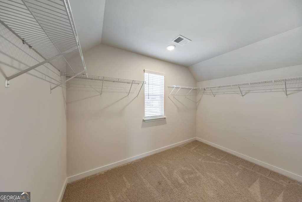 6705 Jumping Trout Drive Dawsonville - Photo 37