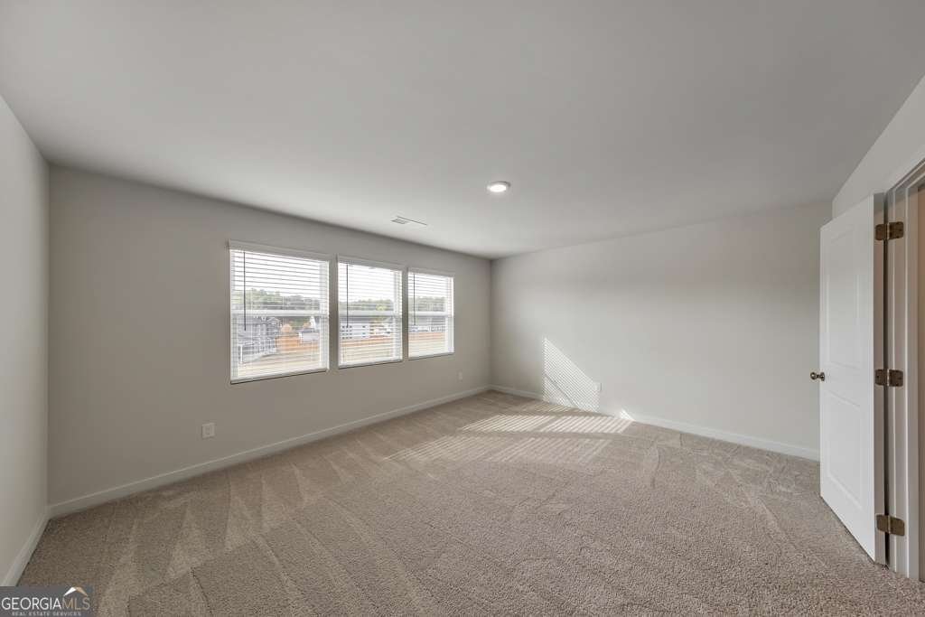 6705 Jumping Trout Drive Dawsonville - Photo 39