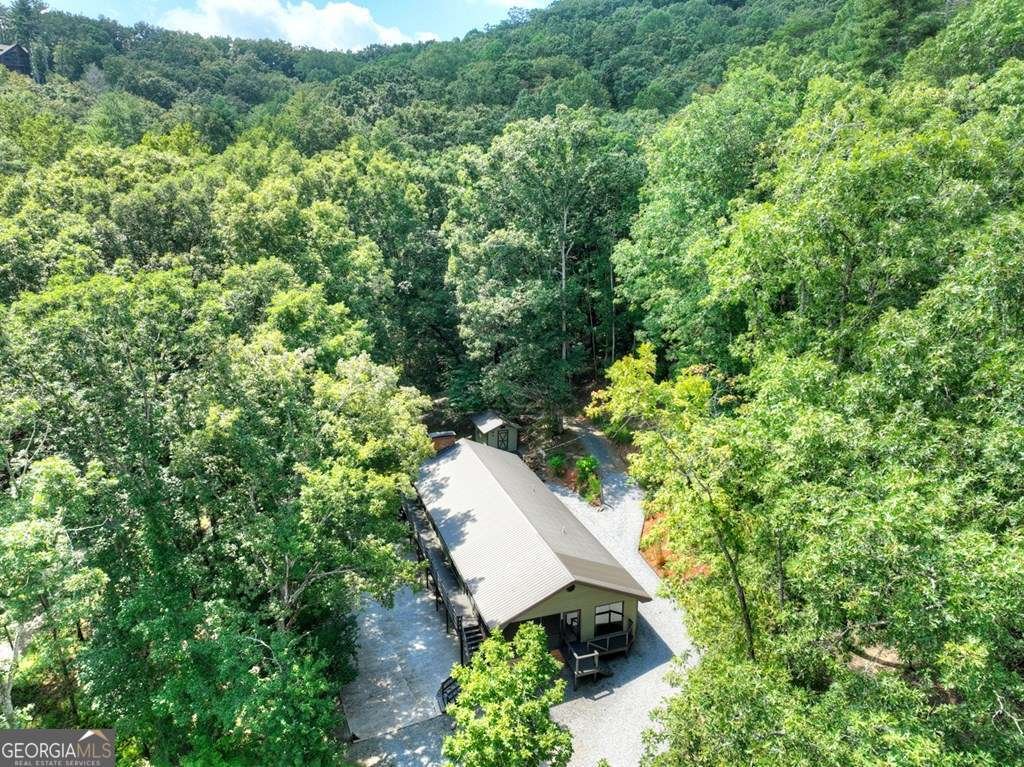 260 Flat Creek Crossing Blue Ridge - Photo 7