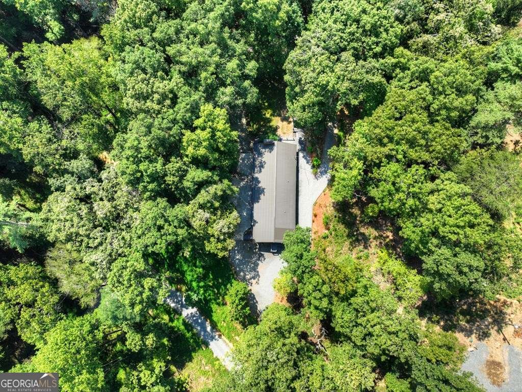 260 Flat Creek Crossing Blue Ridge - Photo 8