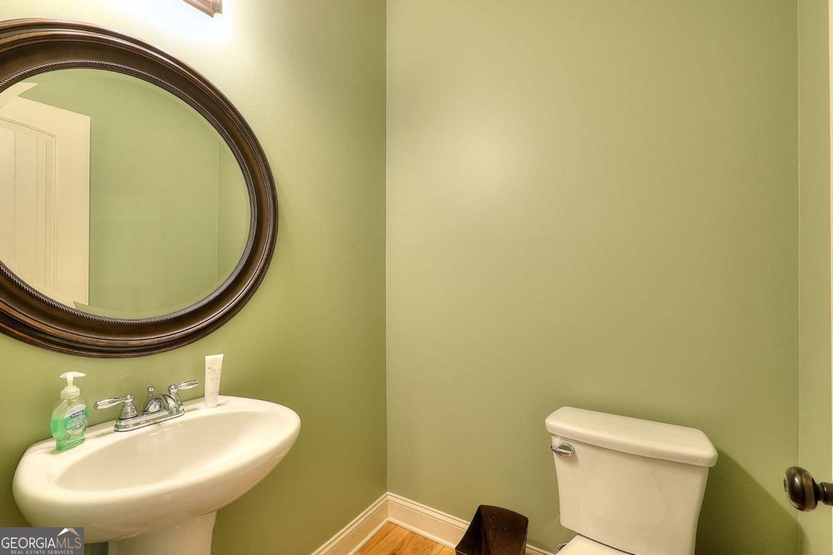 325 Brook Hollow Lane Loganville - Photo 19