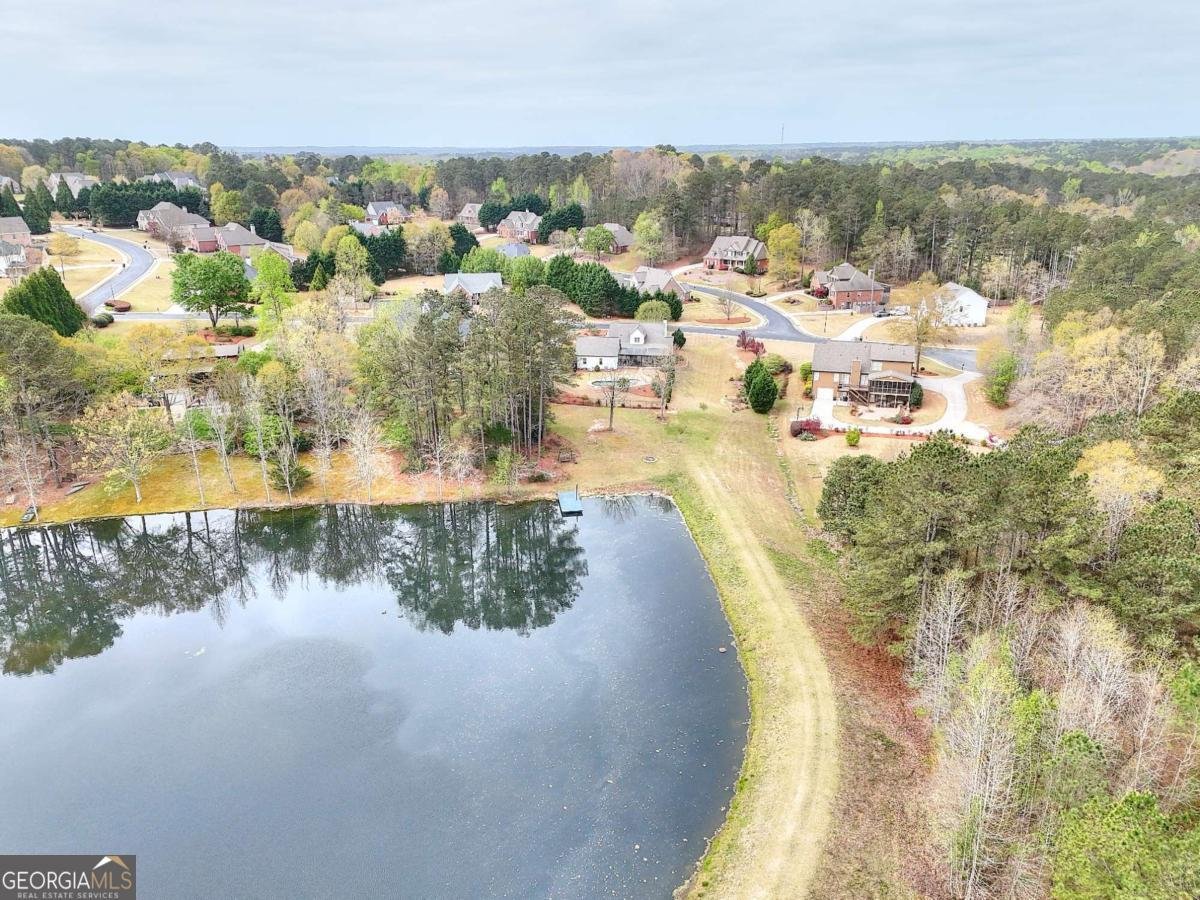 325 Brook Hollow Lane Loganville - Photo 48