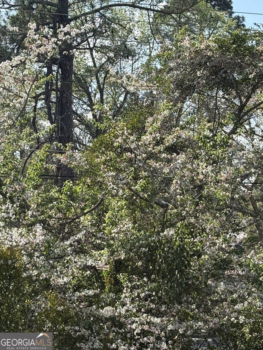 2585 New Clinton Road Macon - Photo 57