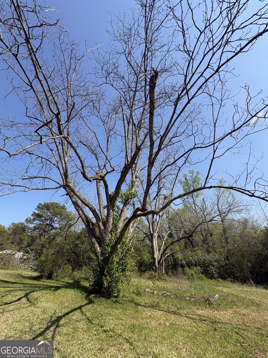 2585 New Clinton Road Macon - Photo 65