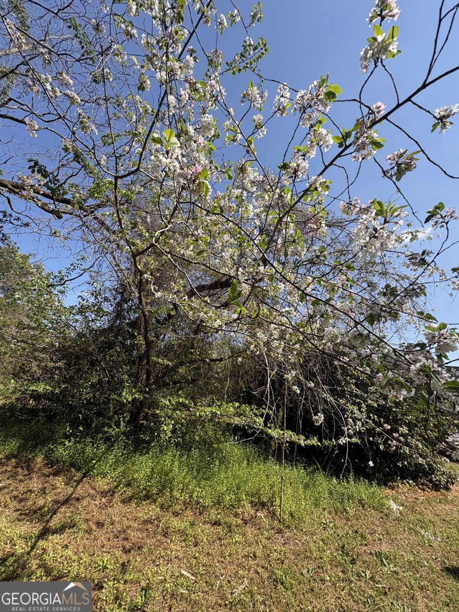 2585 New Clinton Road Macon - Photo 72