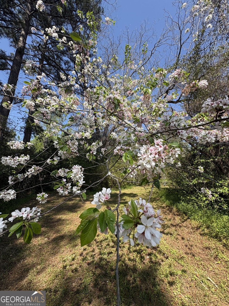 2585 New Clinton Road Macon - Photo 73