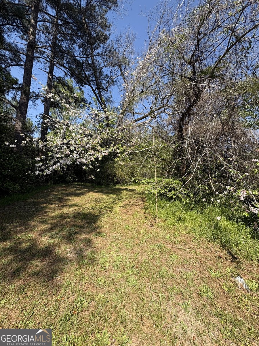 2585 New Clinton Road Macon - Photo 74