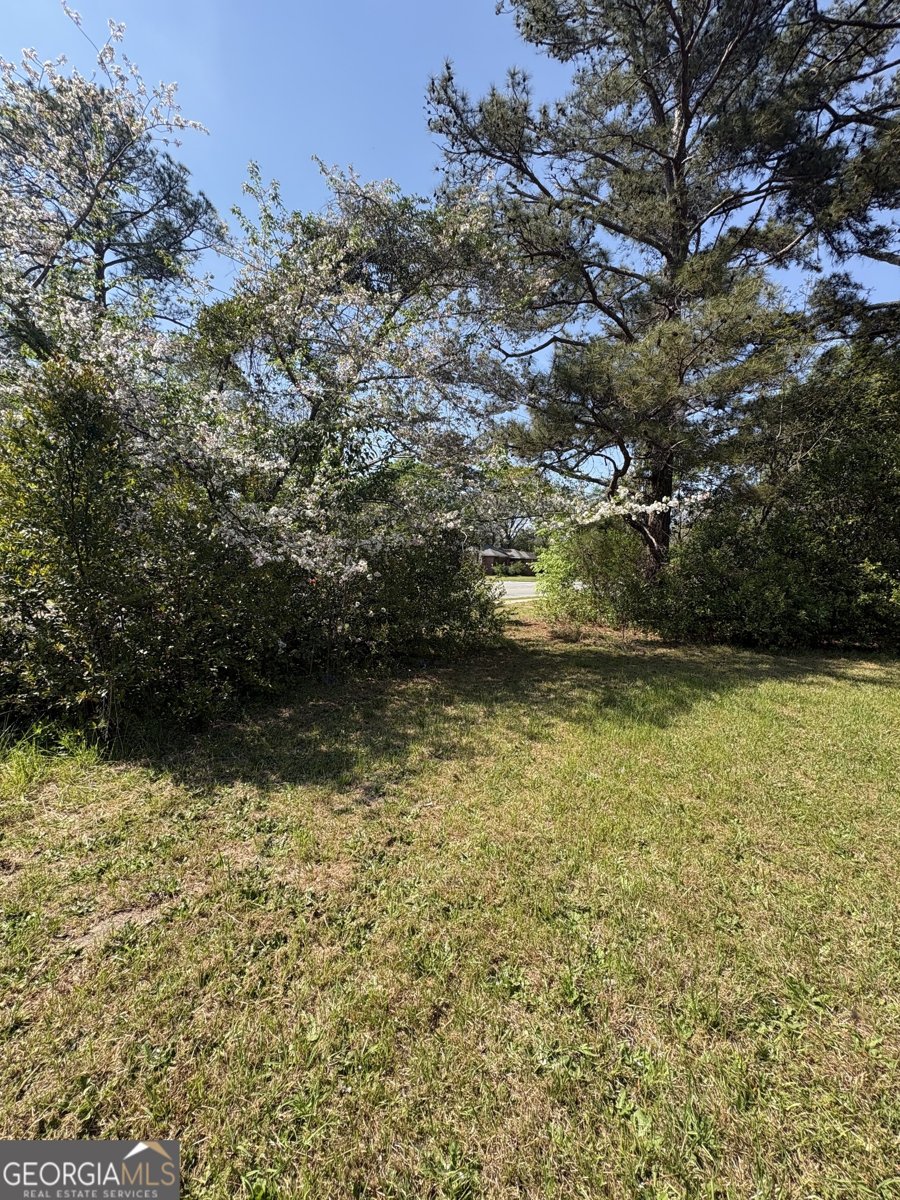 2585 New Clinton Road Macon - Photo 75