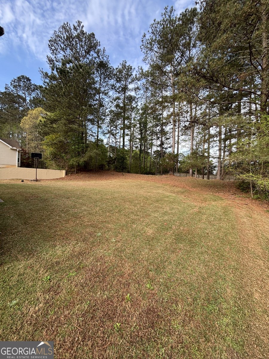 278 Sawgrass Way Fayetteville - Photo 31