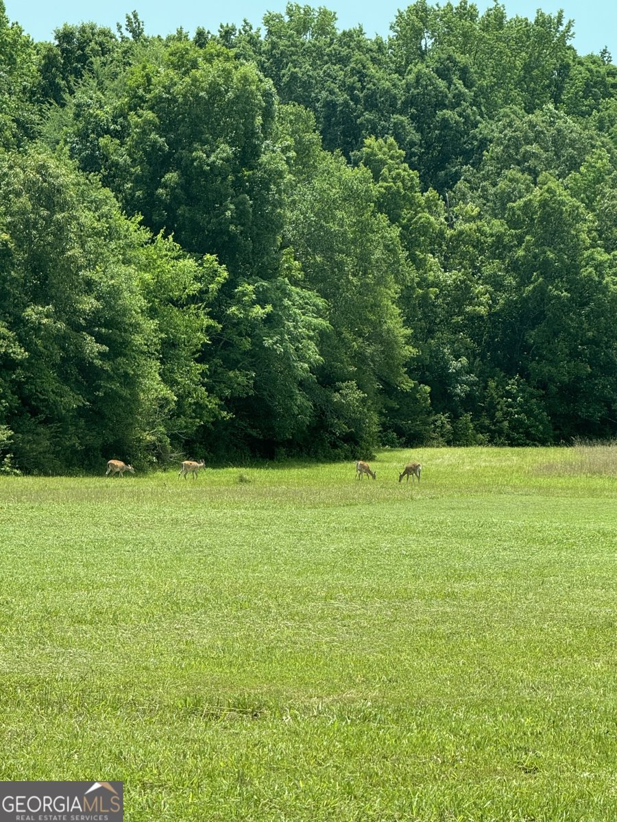 70 McDonald Road Covington - Photo 76