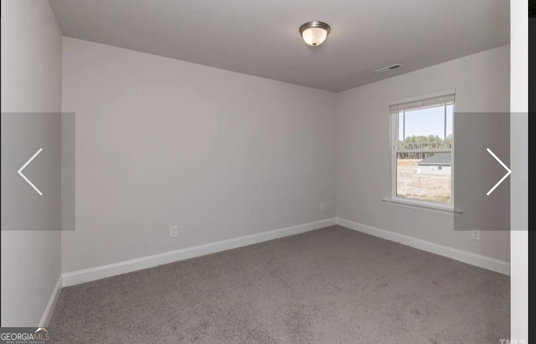 242 Thunder Valley Dawsonville - Photo 21