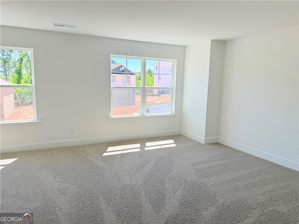 242 Thunder Valley Dawsonville - Photo 27