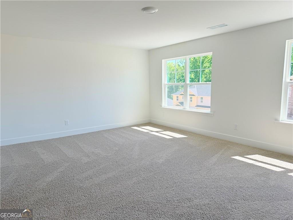 242 Thunder Valley Dawsonville - Photo 28