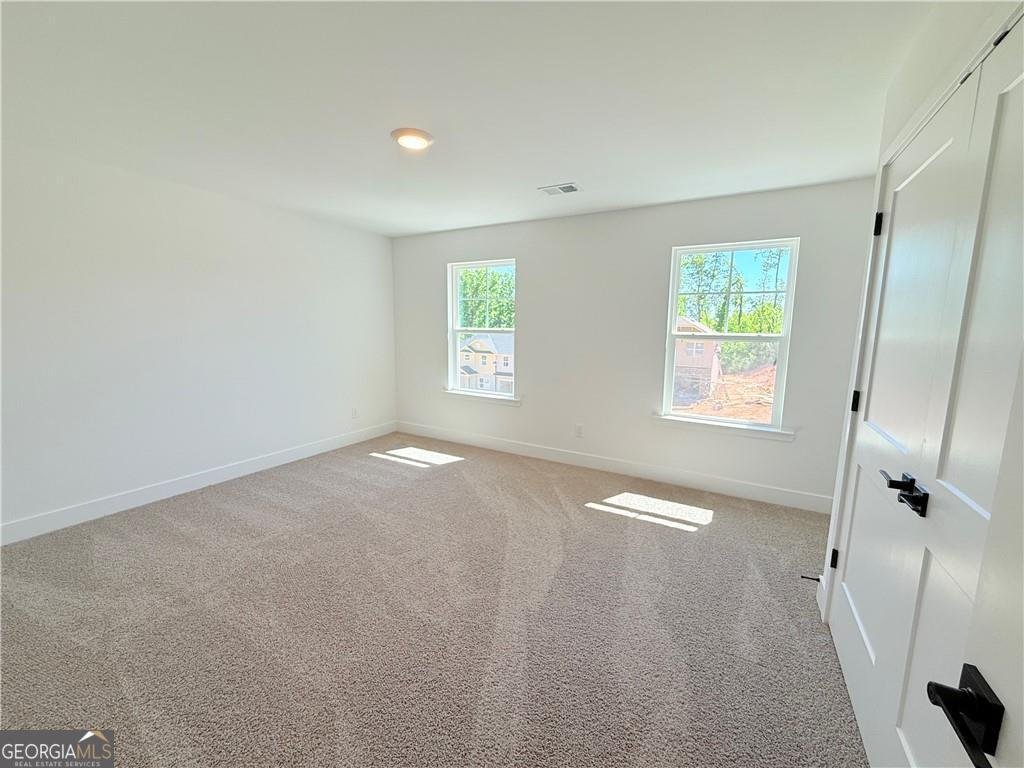 242 Thunder Valley Dawsonville - Photo 30