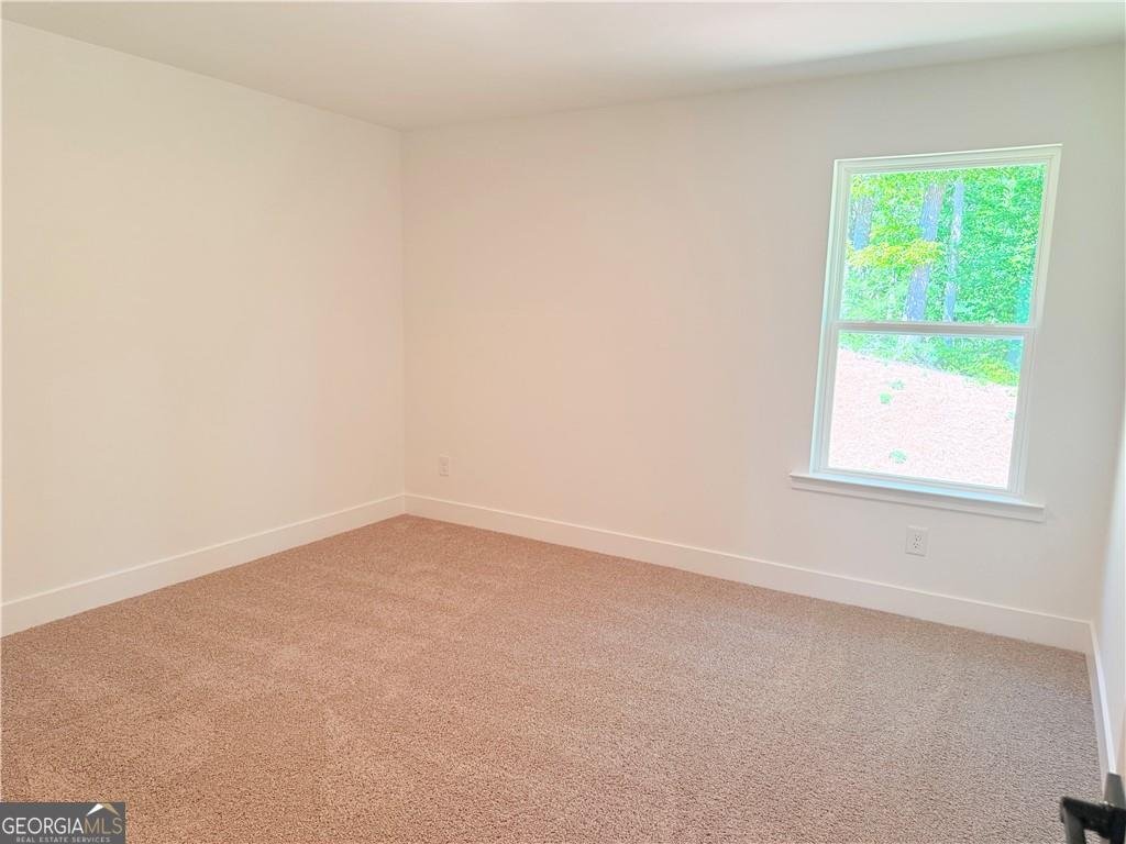242 Thunder Valley Dawsonville - Photo 33