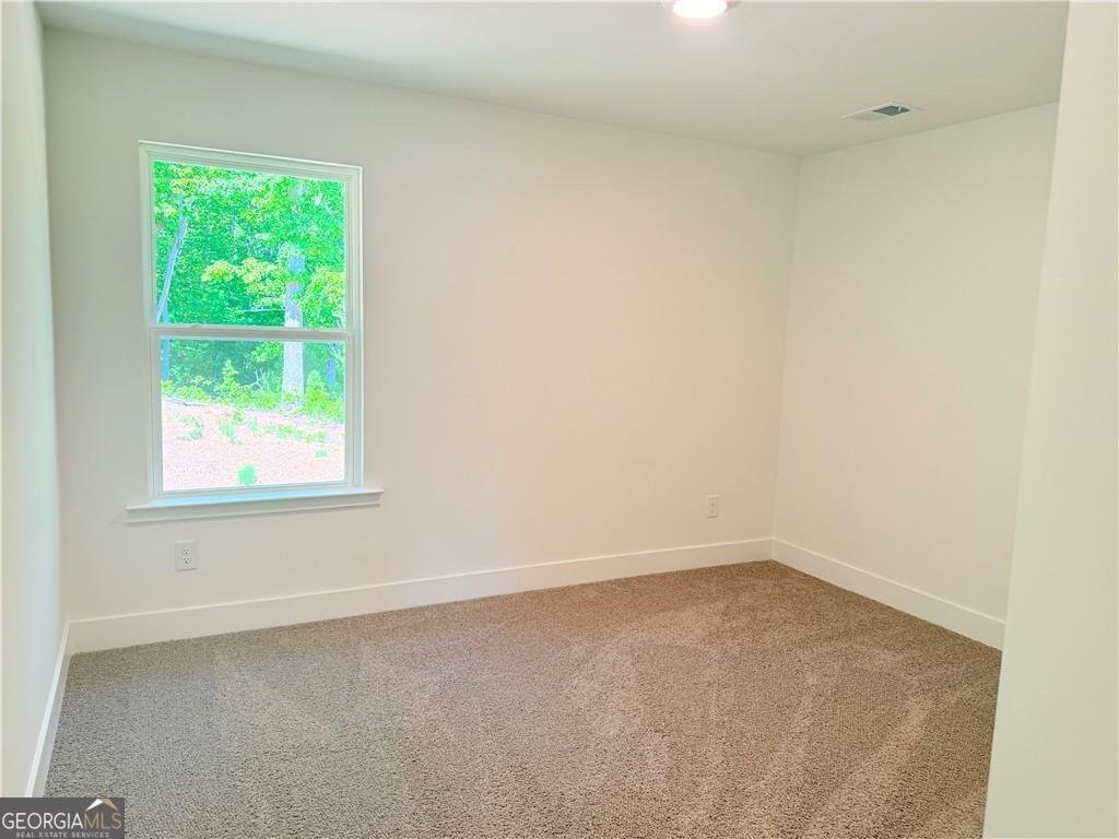 242 Thunder Valley Dawsonville - Photo 35