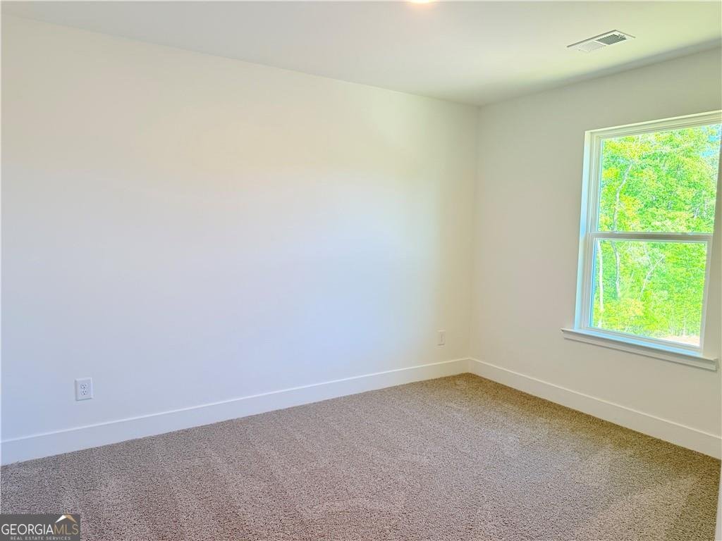 242 Thunder Valley Dawsonville - Photo 37