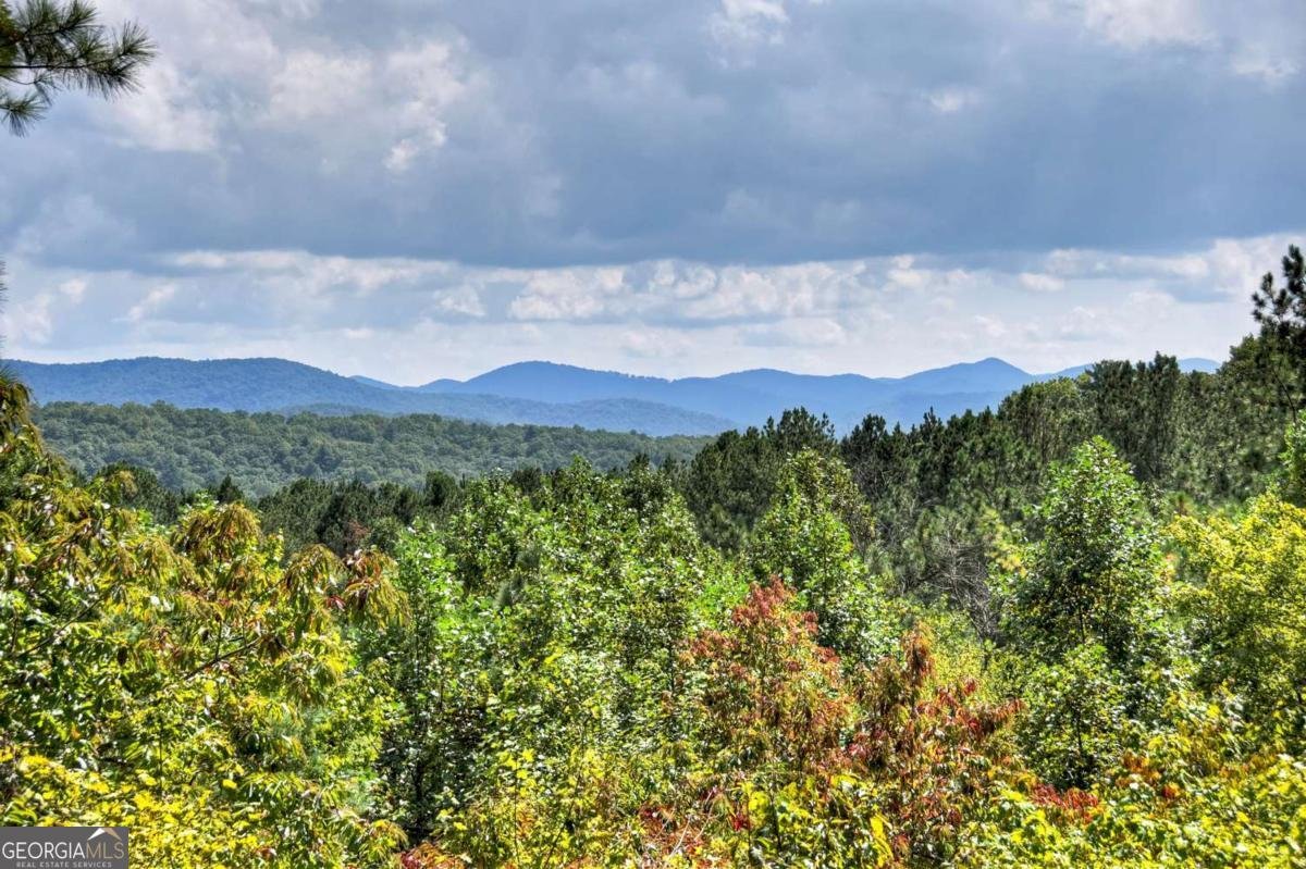 603 Redberry Ridge Road Blue Ridge - Photo 13