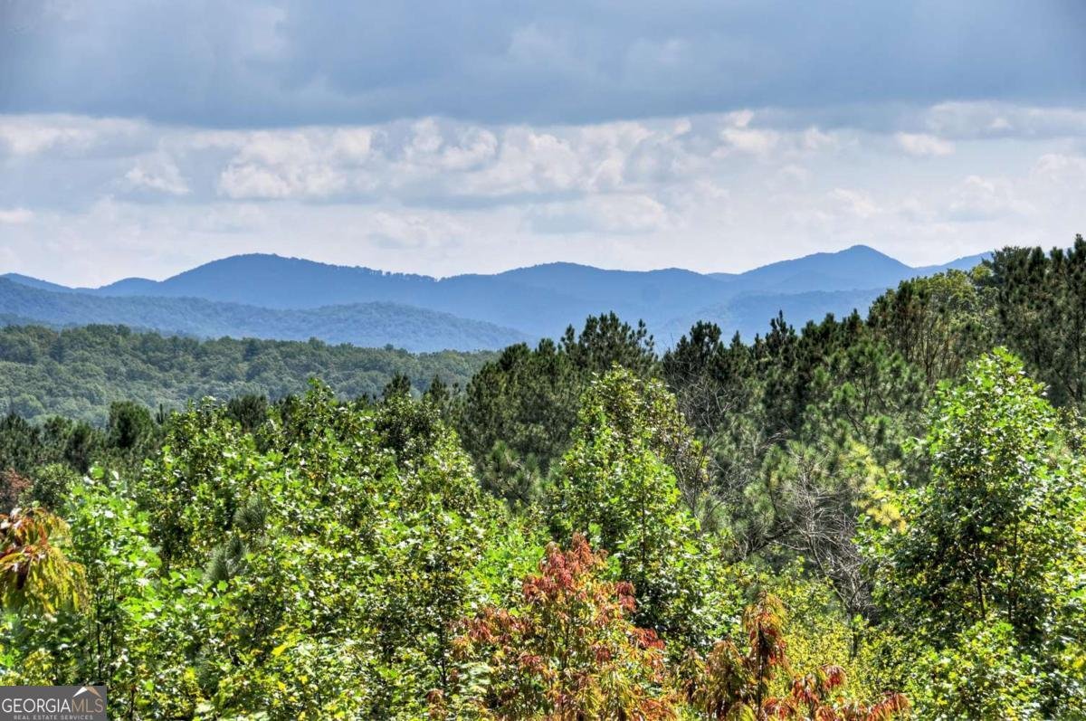 603 Redberry Ridge Road Blue Ridge - Photo 14