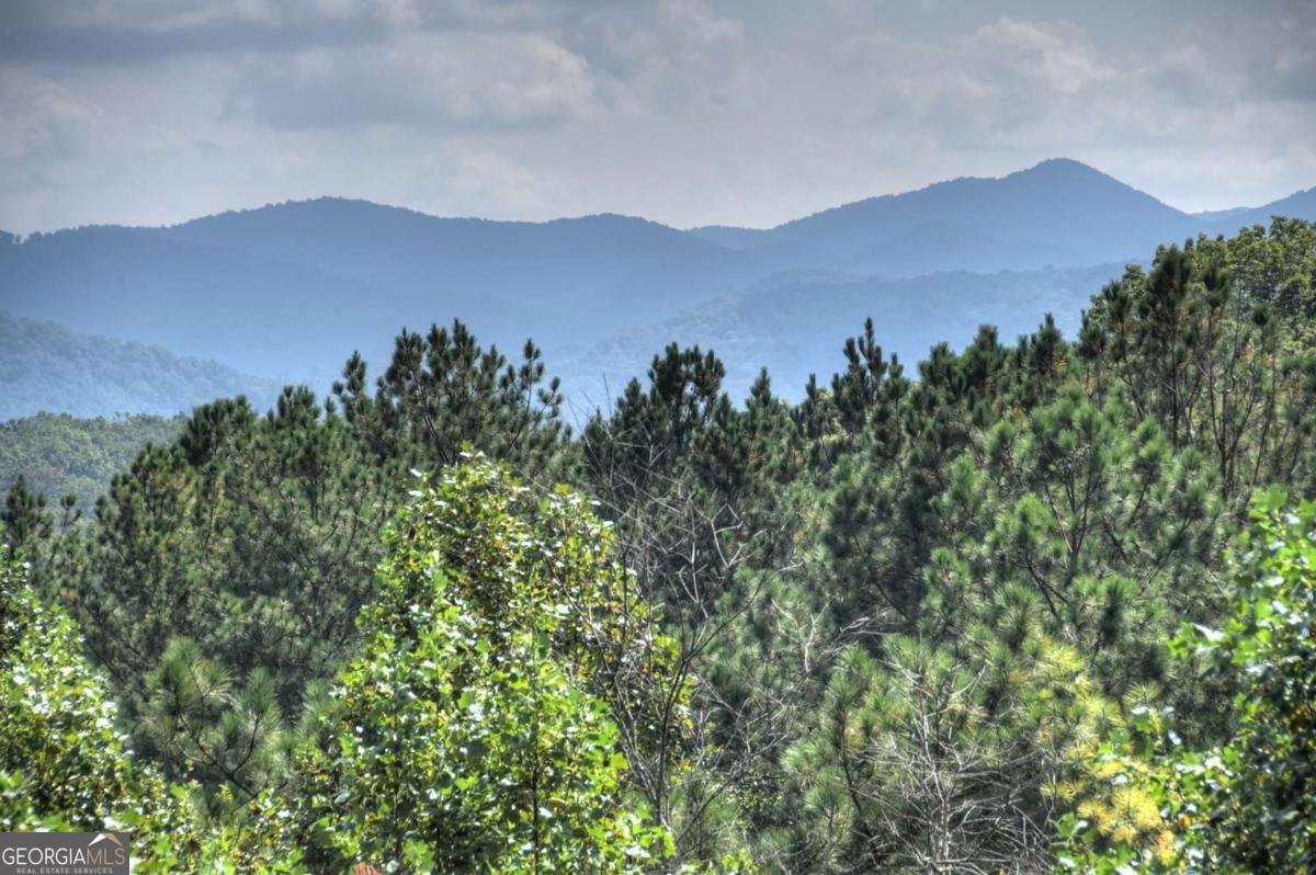 603 Redberry Ridge Road Blue Ridge - Photo 15