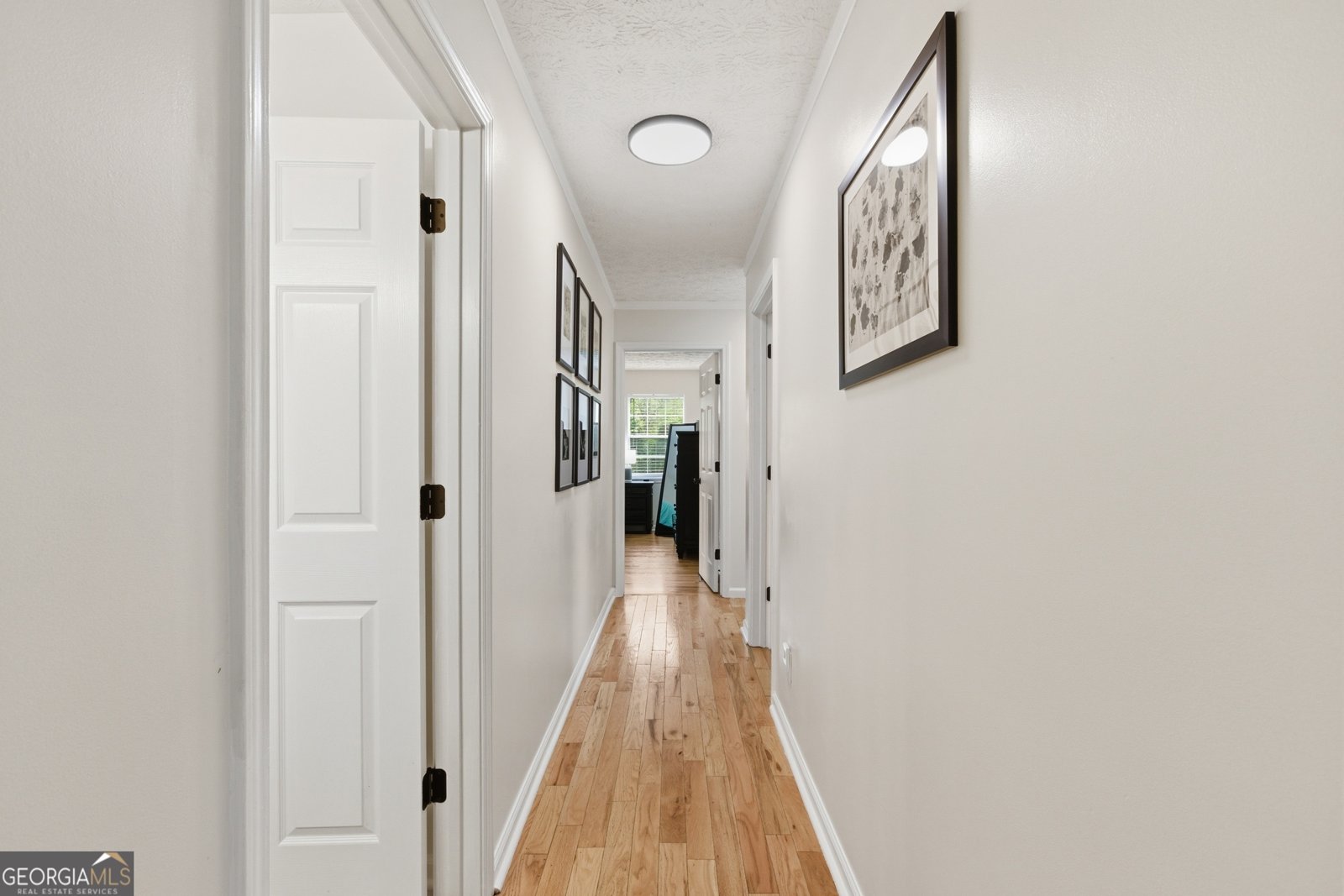 205 Cook Street Alto - Photo 16