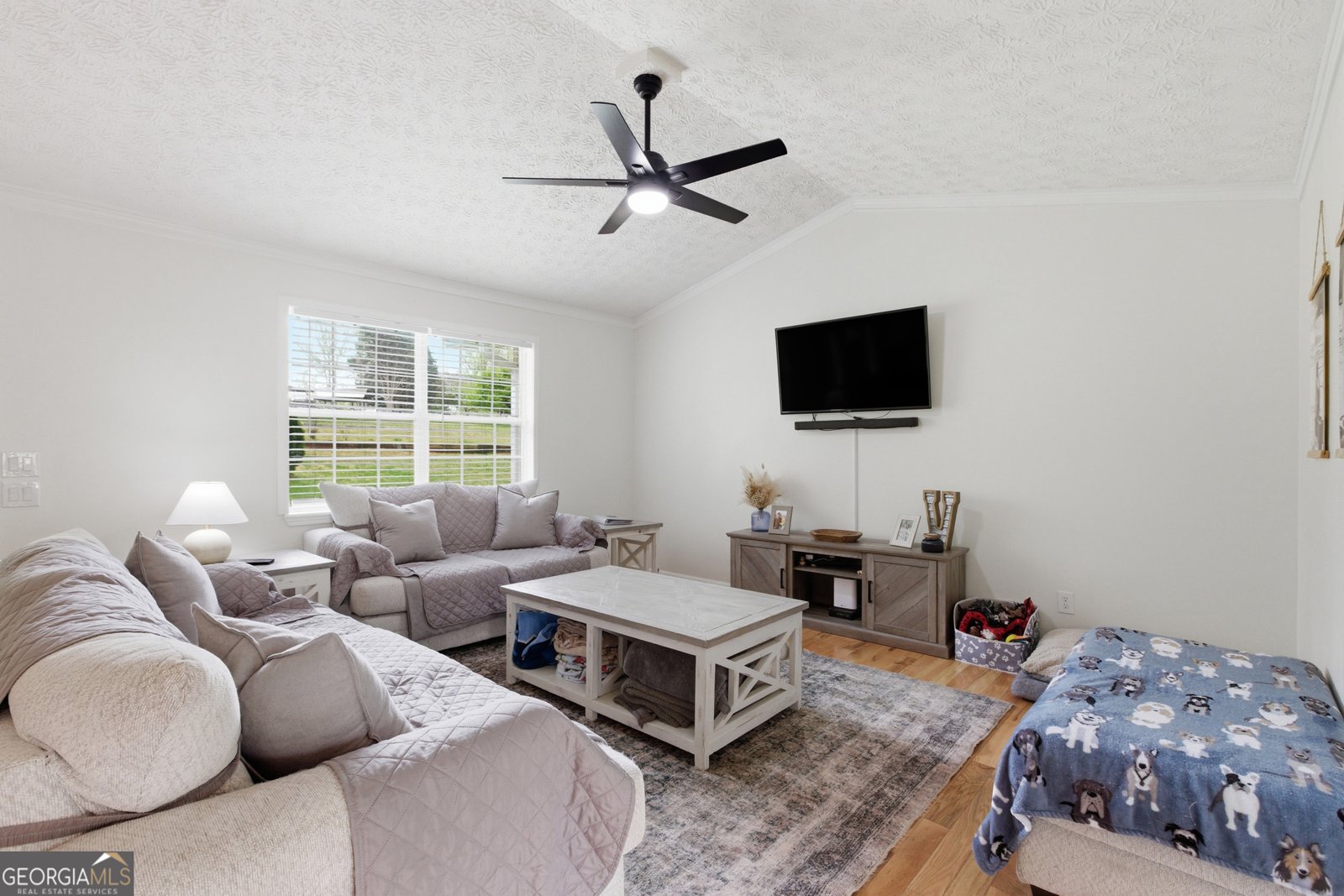 205 Cook Street Alto - Photo 6