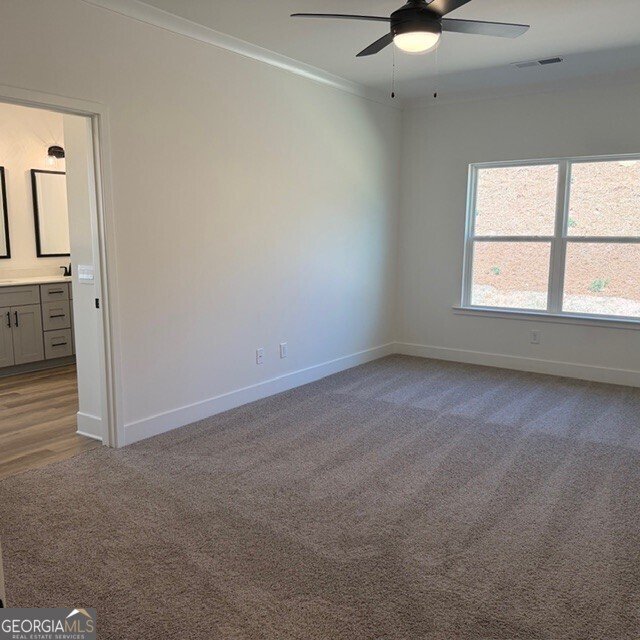 256 Thunder Valley Dawsonville - Photo 13