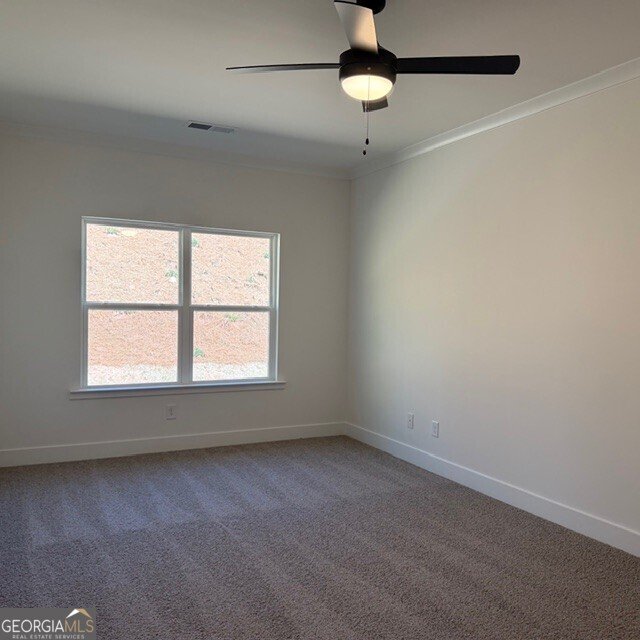 256 Thunder Valley Dawsonville - Photo 15
