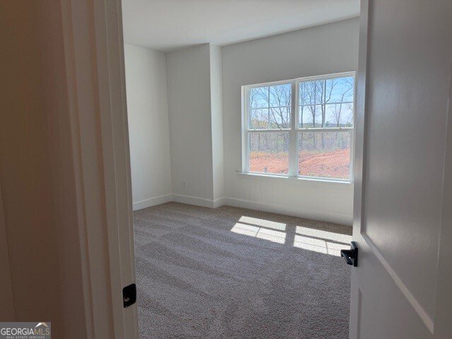 256 Thunder Valley Dawsonville - Photo 21