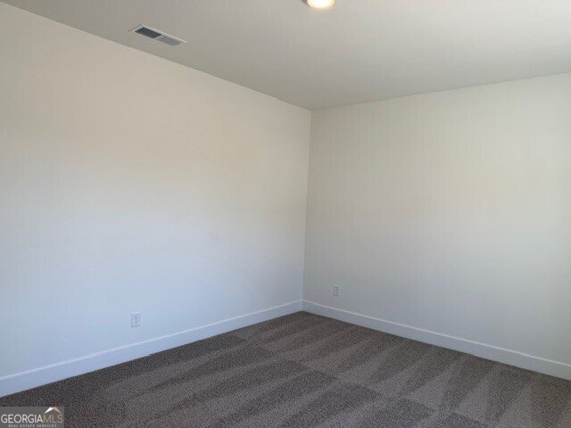 256 Thunder Valley Dawsonville - Photo 24