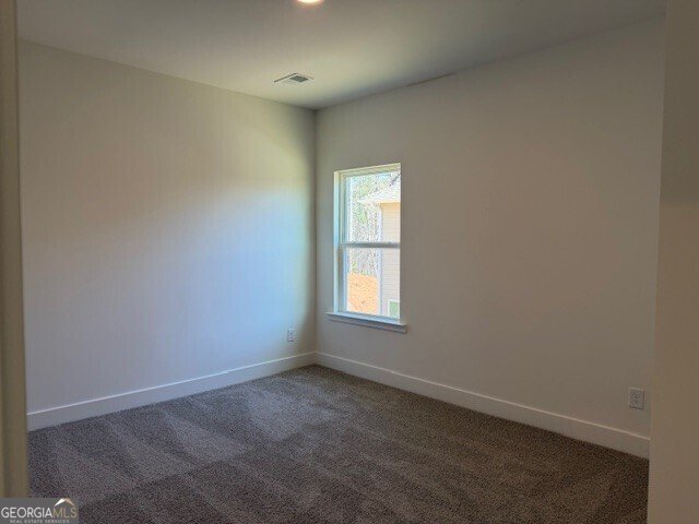 256 Thunder Valley Dawsonville - Photo 26