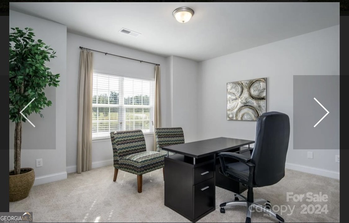 256 Thunder Valley Dawsonville - Photo 35