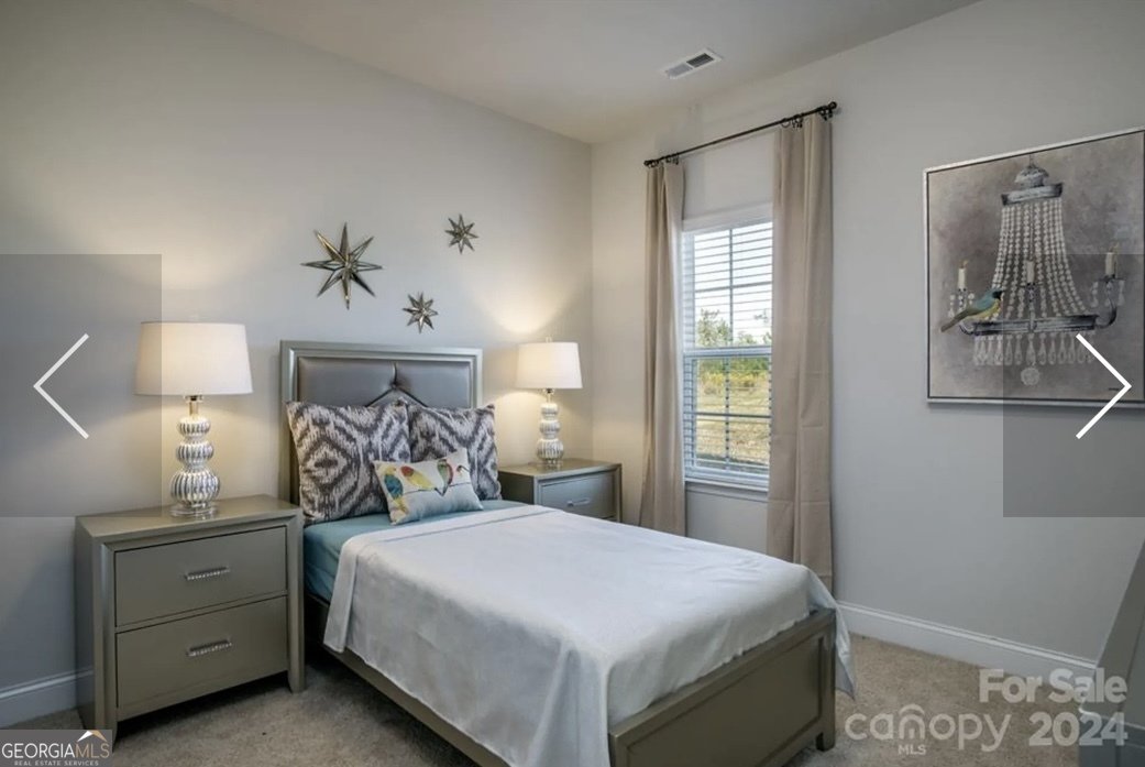 256 Thunder Valley Dawsonville - Photo 37