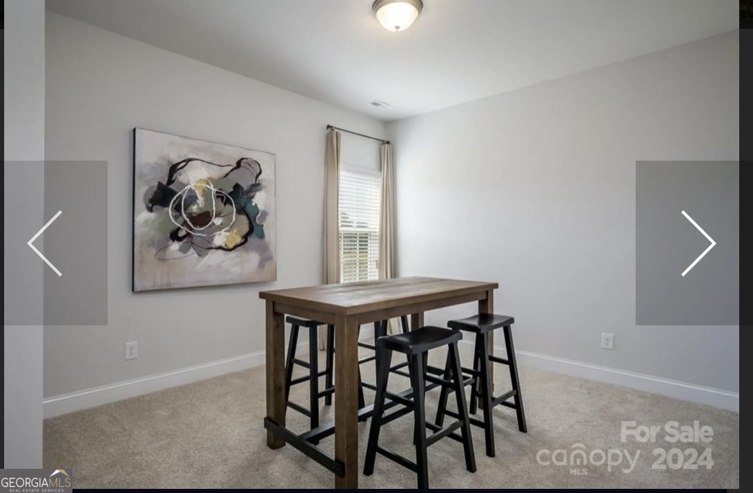 256 Thunder Valley Dawsonville - Photo 38