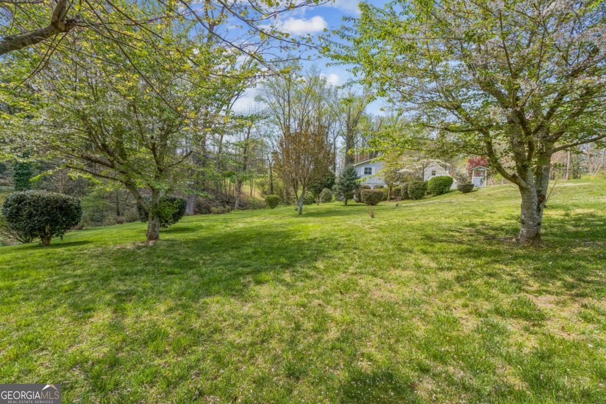 3335 Dogwood Circle Cumming - Photo 43