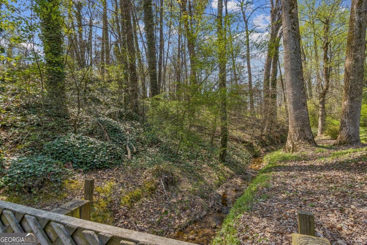 3335 Dogwood Circle Cumming - Photo 44