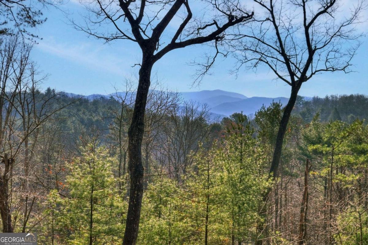 1183 Bear Paw Trail Blue Ridge - Photo 20